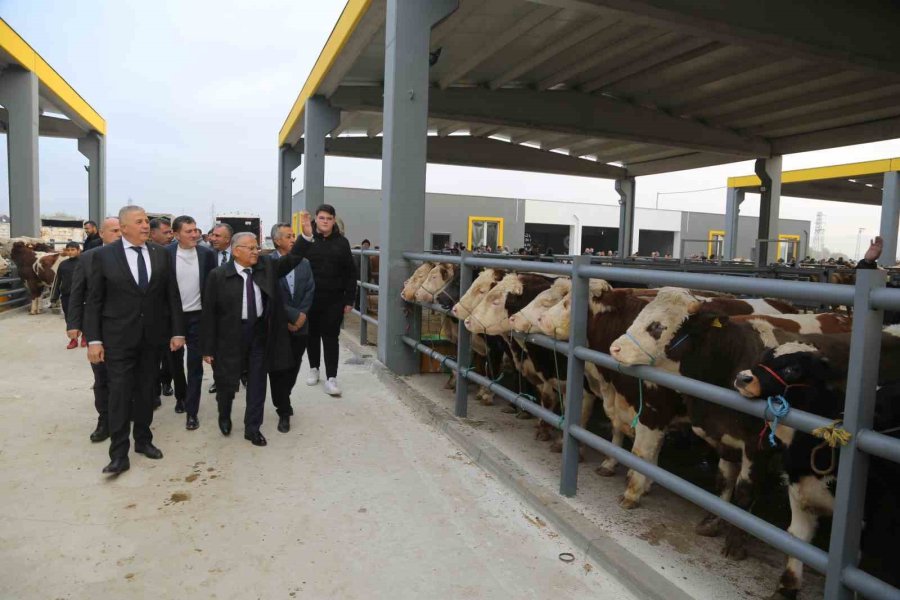 Başkan Büyükkılıç, Canlı Hayvan Pazarı’nda Sıkı Pazarlığa Katıldı