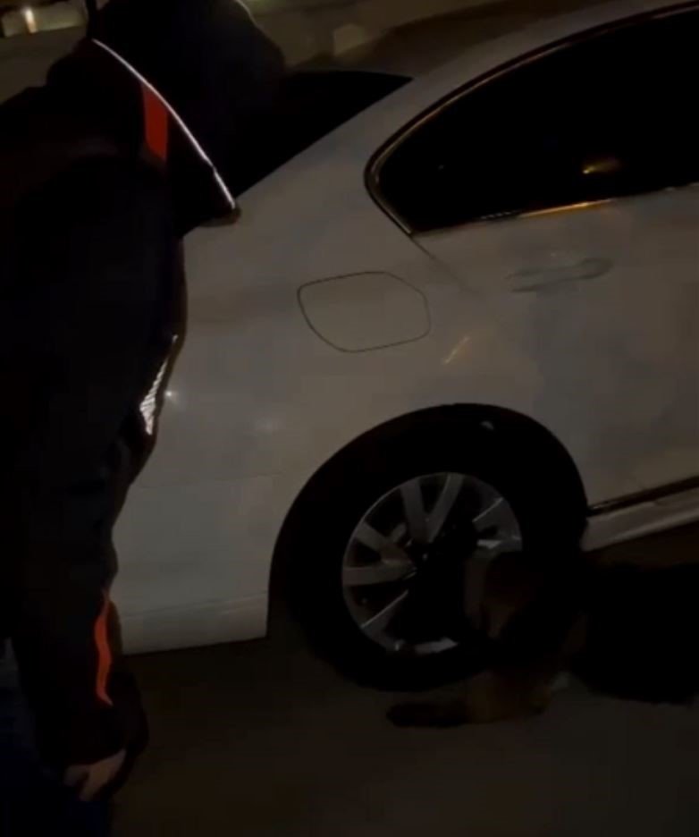 Çekiciye Yüklenmiş Araçların Lastiğinden Uyuşturucu Çıktı