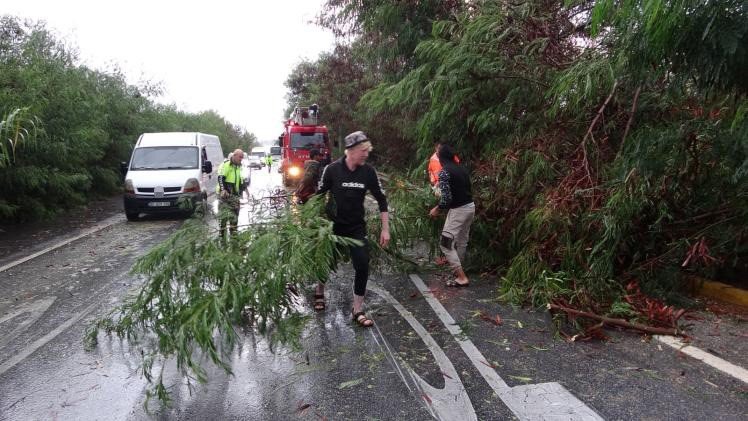 Antalya’da Fırtına Ağaçları Devirdi, Karayolunda Trafik Aksadı
