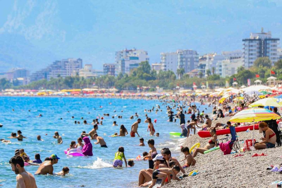 Dünyaca Ünlü Sahilde Denizin Altı Çekirdek Kabuğu Tarlasına Döndü