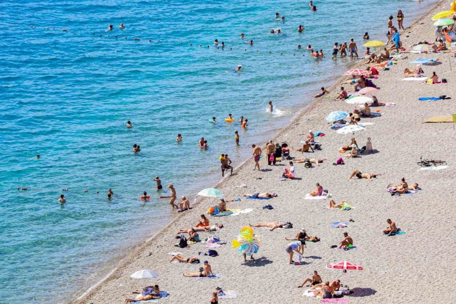 Dünyaca Ünlü Sahilde Denizin Altı Çekirdek Kabuğu Tarlasına Döndü