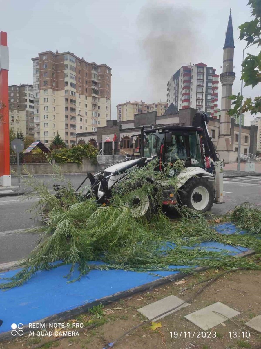 Talas’ta Devrilen Ağaçlara Hızlı Müdahale