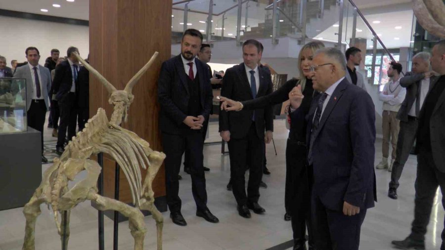 Ayaklanan 7,5 Milyon Yıllık Tarih Sergilenmeye Başlandı