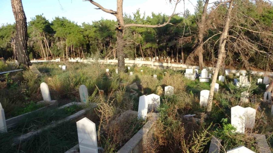 Şiddetli Fırtınanın Söktüğü Ağaç Mezarları Tahrip Etti