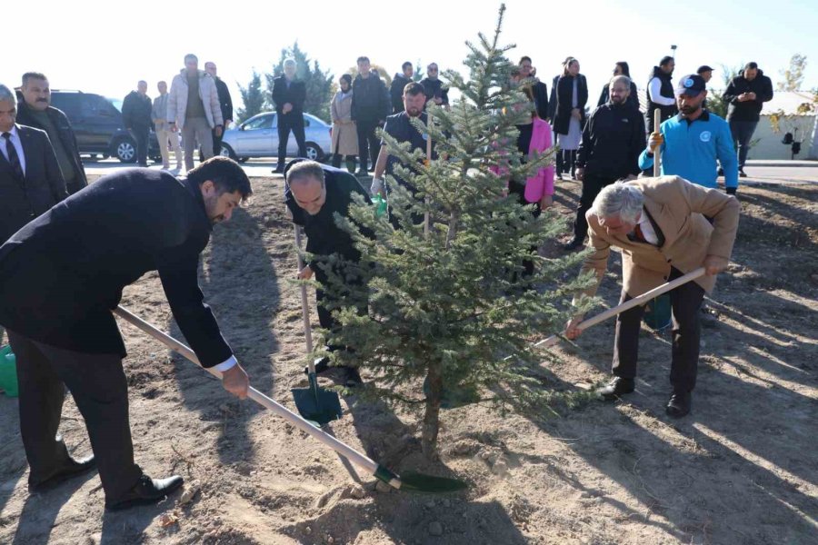 Niğde’de Yeşil Kampüs Çalışmaları Devam Ediyor