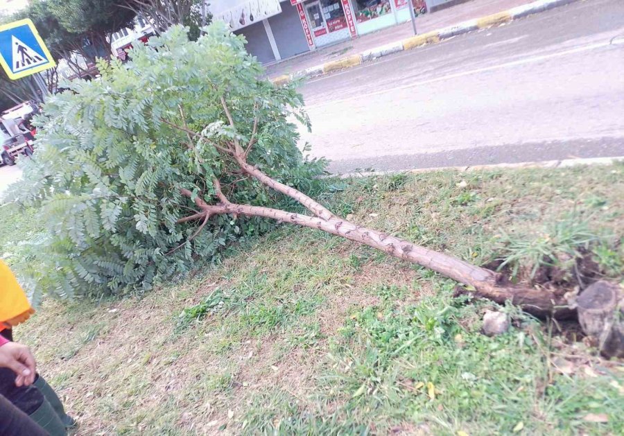 Büyükşehir Seferber Oldu, Bir Gecede 174 Vakaya Müdahale Etti