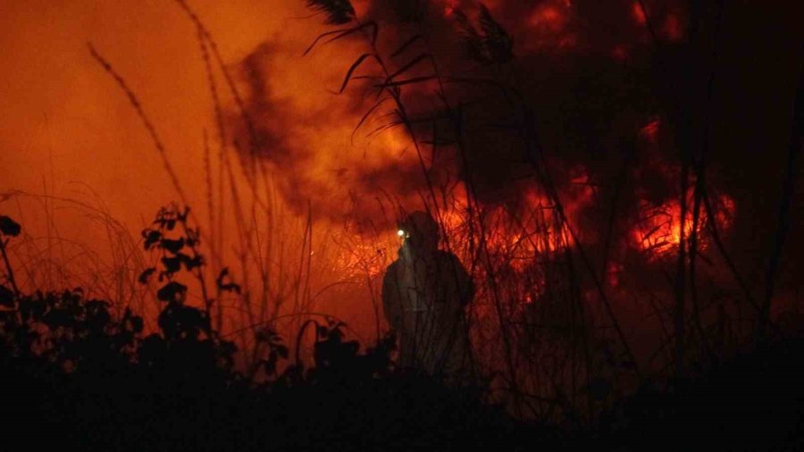 Manavgat’ta Sazlık Alanda Yangın