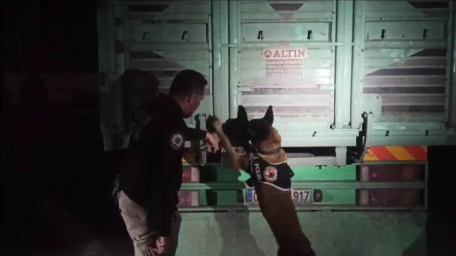 Salatalık Çuvallarından Uyuşturucu Çıktı