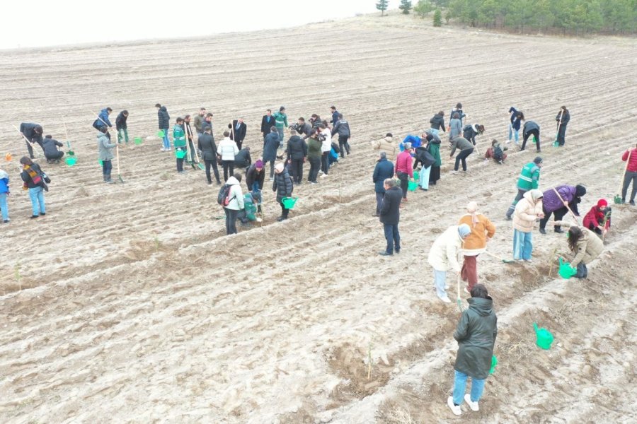 Başkan Çolakbayrakdar: “gelecek İçin Yapılacak En Önemli Yatırım Ağaç Dikmektir”