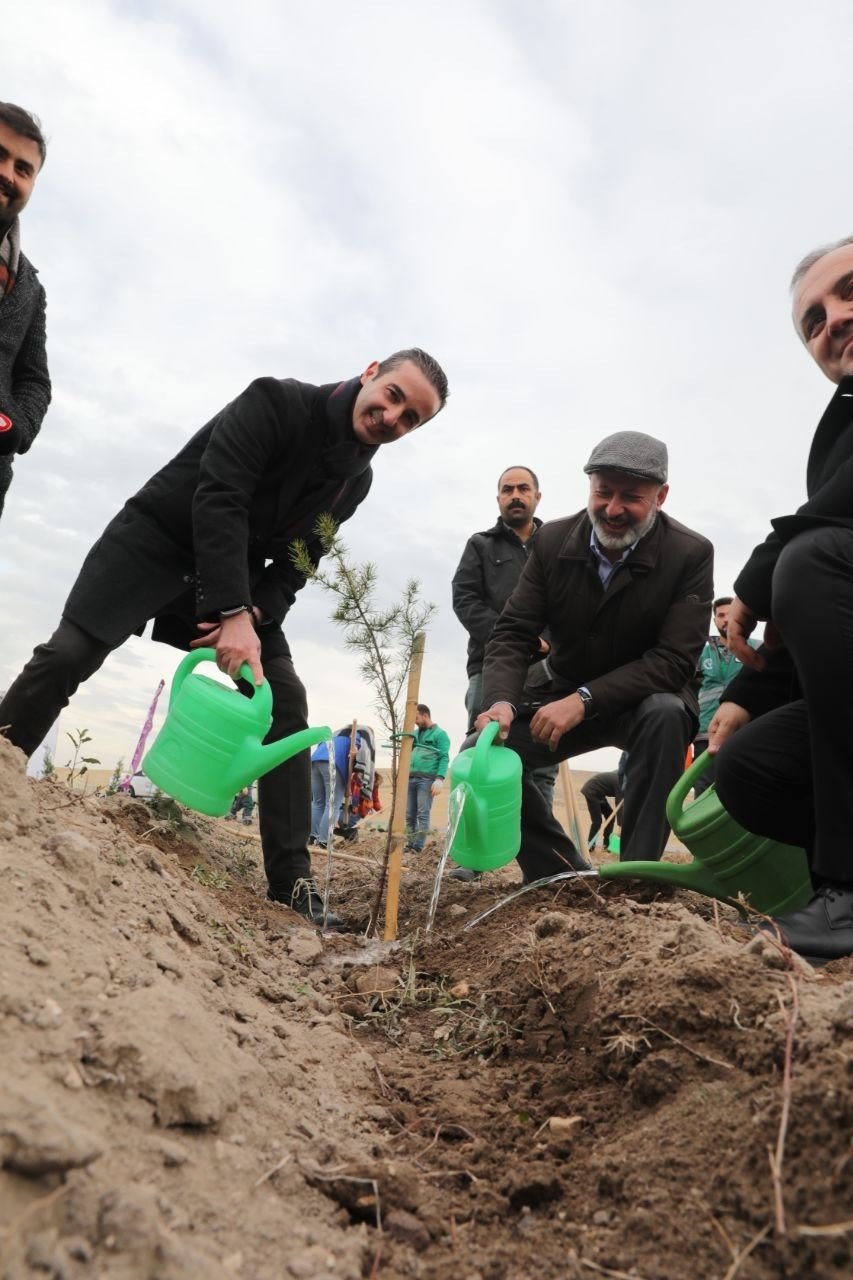 Başkan Çolakbayrakdar: “gelecek İçin Yapılacak En Önemli Yatırım Ağaç Dikmektir”