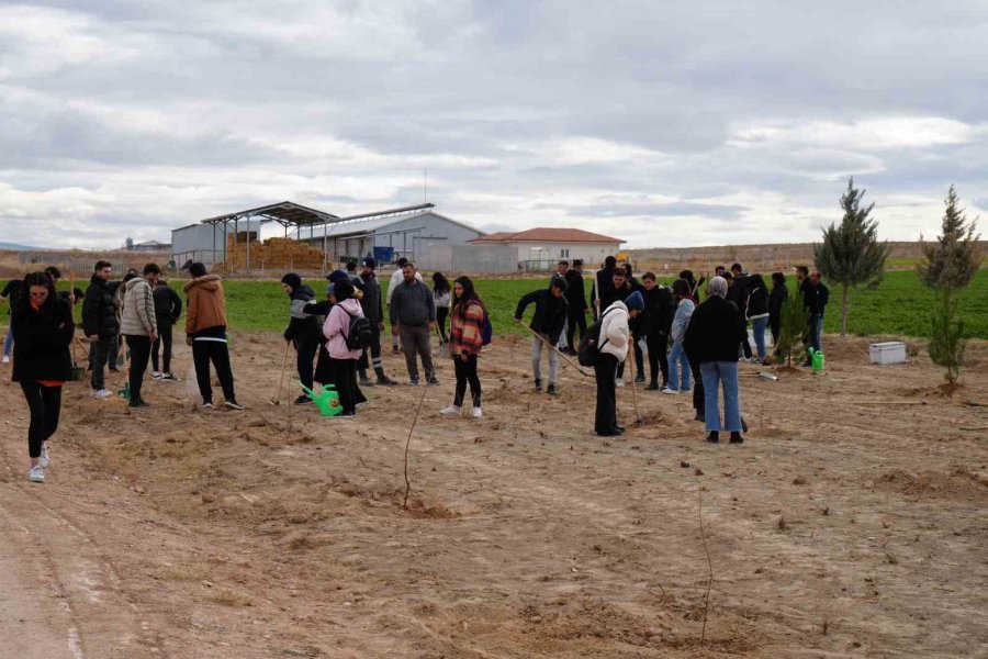 Niğde’de Bal Ormanı Kuruldu