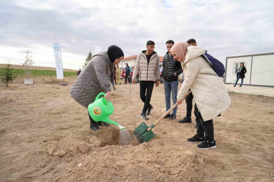 Niğde’de Bal Ormanı Kuruldu