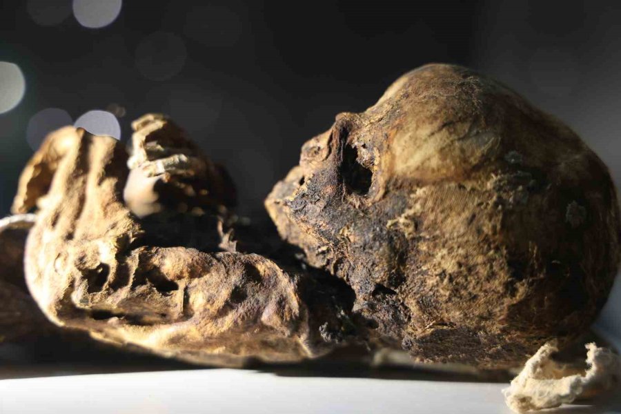 12. Yüzyılın Mumyaları Aksaray’da