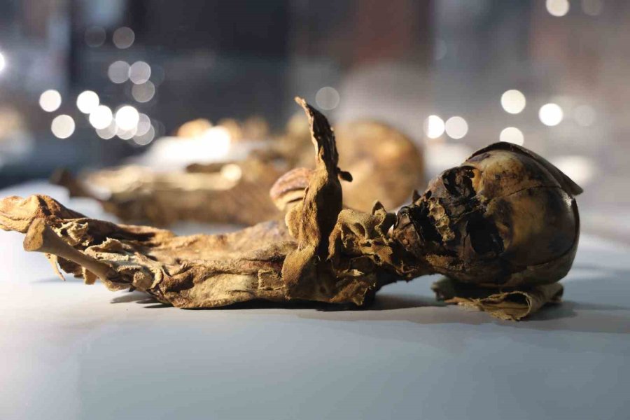 12. Yüzyılın Mumyaları Aksaray’da