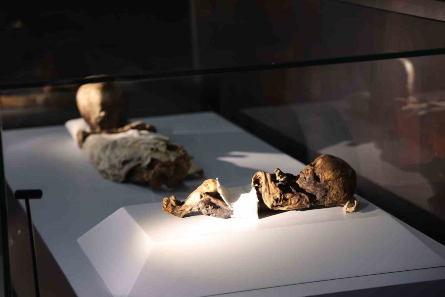 12. Yüzyılın Mumyaları Aksaray’da