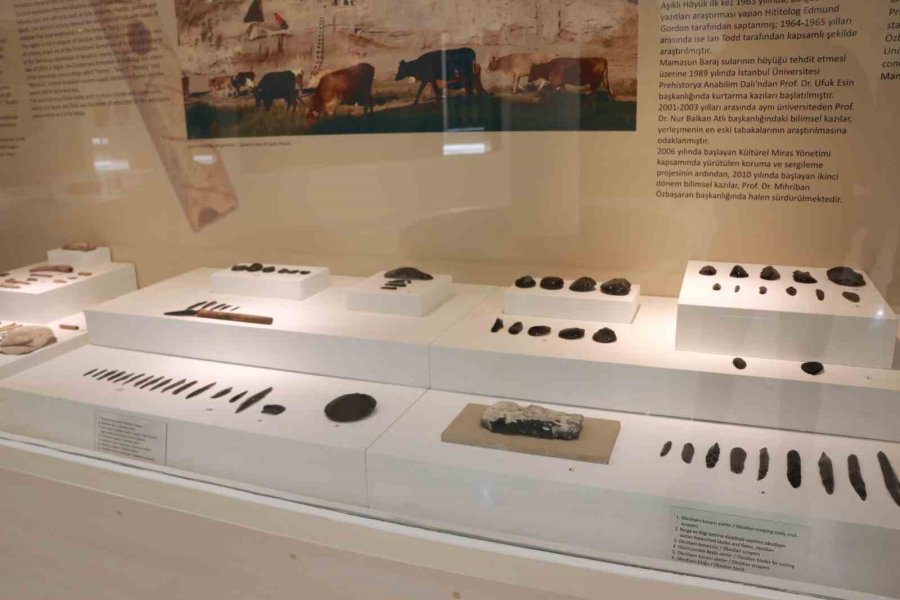 Dünyanın İlk Beyin Ameliyatına Ait Kafatası