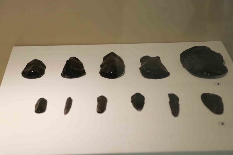 Dünyanın İlk Beyin Ameliyatına Ait Kafatası