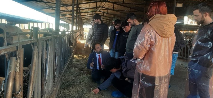 Niğde’de Hayvan Yetiştireceklere Üniversiteden Uygulamalı Eğitim
