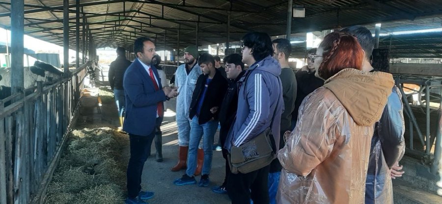 Niğde’de Hayvan Yetiştireceklere Üniversiteden Uygulamalı Eğitim
