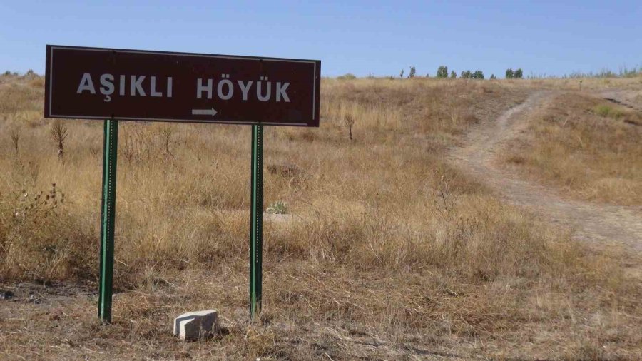 Dünyanın İlk Beyin Ameliyatına Ait Kafatası