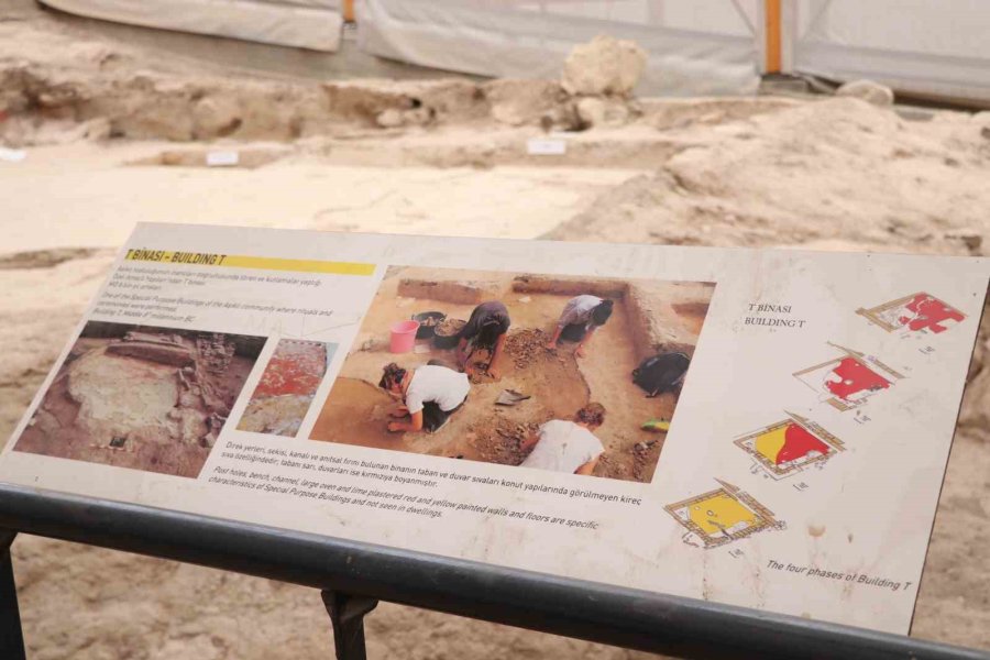 Dünyanın İlk Beyin Ameliyatına Ait Kafatası