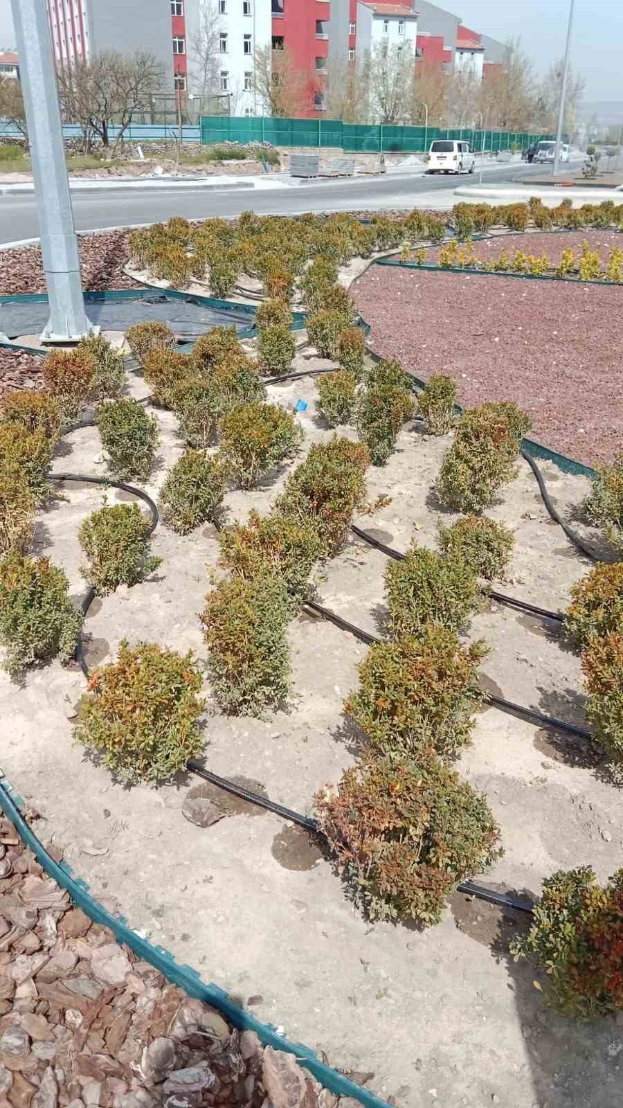 Büyükşehirden Yağmurlama Ve Damla Sulama Sistemi