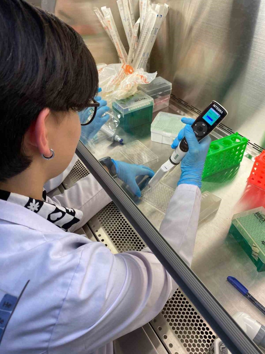 Eskişehirli Öğrenciler Sığırkuyruğu Bitkisi İle Kanserli Hücreyi İyileştirdi