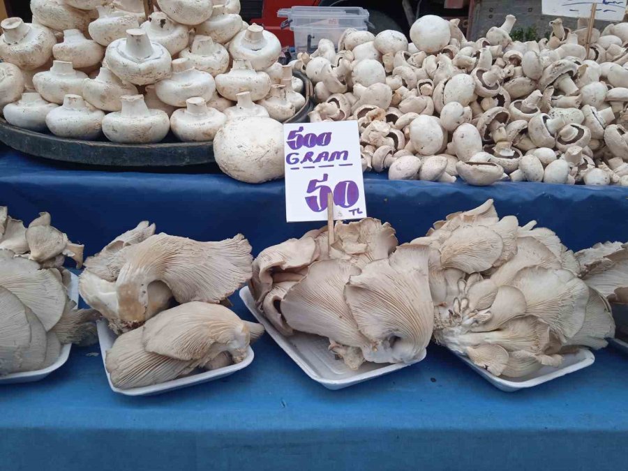 Çeşit Çeşit Mantarlar Pazar Tezgâhını Beyaza Bürüdü