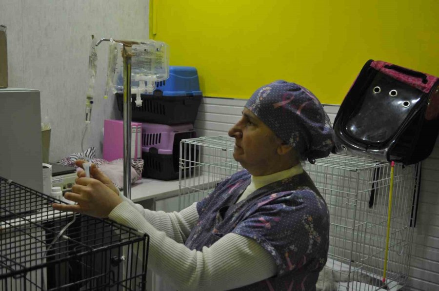 Azmetti, 57 Yaşında Üniversite Mezunu Oldu