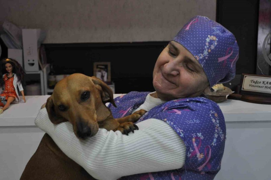 Azmetti, 57 Yaşında Üniversite Mezunu Oldu