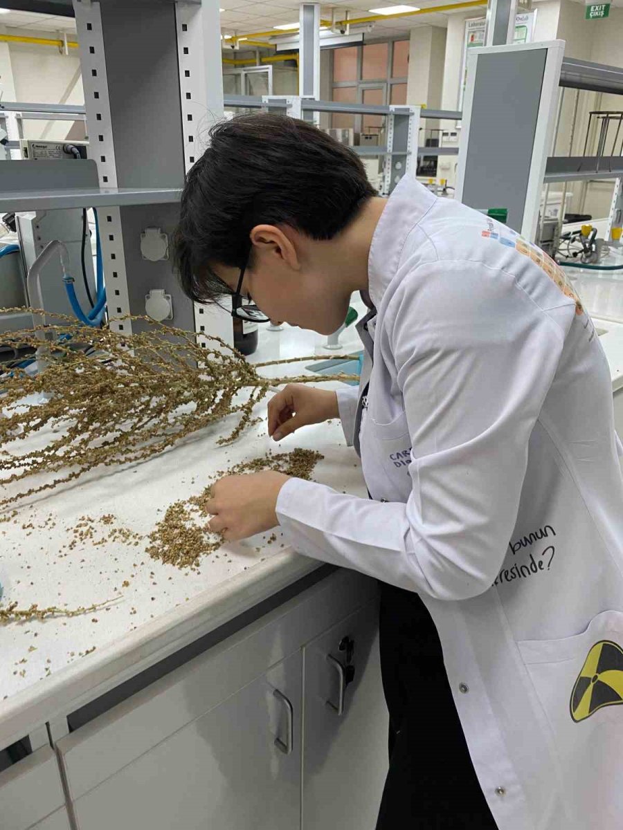 Eskişehirli Öğrenciler Sığırkuyruğu Bitkisi İle Kanserli Hücreyi İyileştirdi