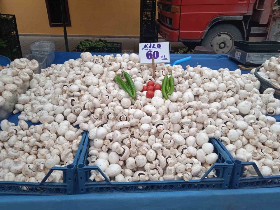 Çeşit Çeşit Mantarlar Pazar Tezgâhını Beyaza Bürüdü