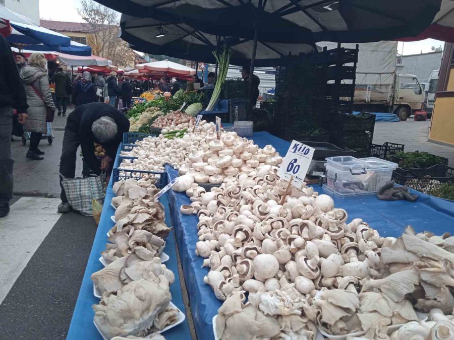 Çeşit Çeşit Mantarlar Pazar Tezgâhını Beyaza Bürüdü