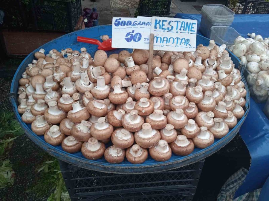 Çeşit Çeşit Mantarlar Pazar Tezgâhını Beyaza Bürüdü