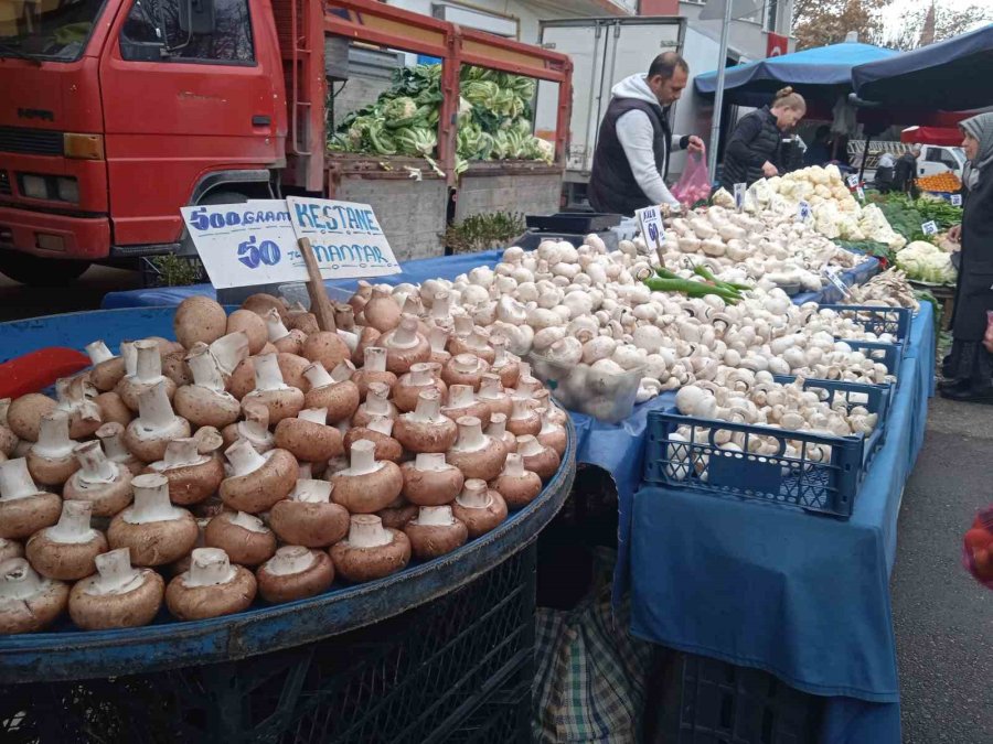 Çeşit Çeşit Mantarlar Pazar Tezgâhını Beyaza Bürüdü