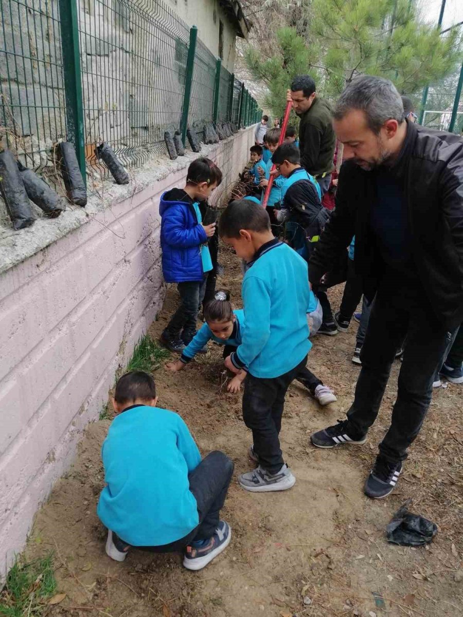 Karapınar’da Öğrenciler Fidanları Toprakla Buluşturdu