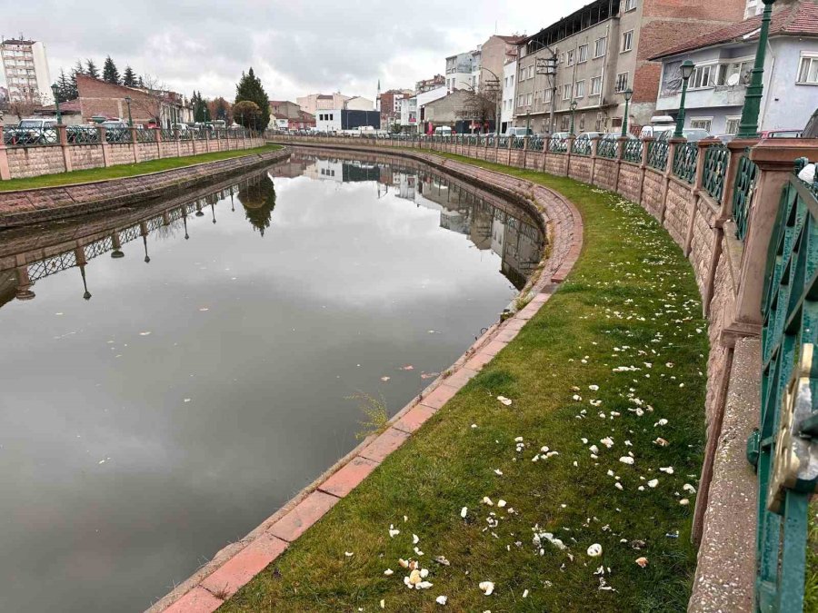 Görenlere ‘pes’ Dedirten Sorumsuzluk