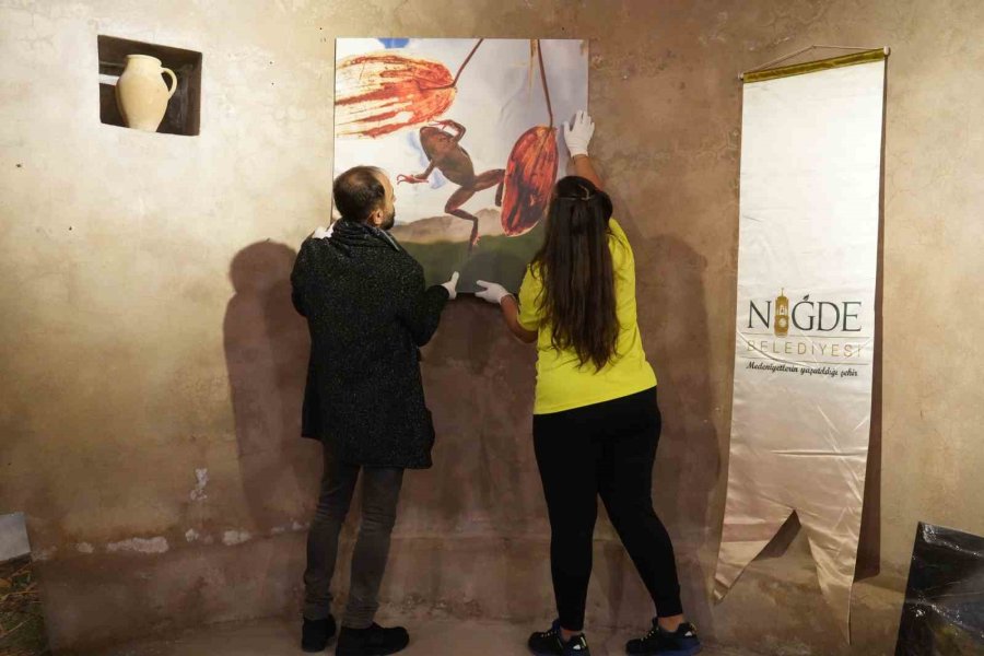 Niğde’nin Endemik Değeri Toros Kurbağası İlk Kez Su Altında Görüntülendi