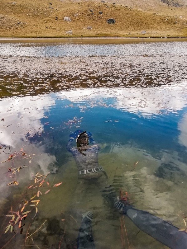 Niğde’nin Endemik Değeri Toros Kurbağası İlk Kez Su Altında Görüntülendi