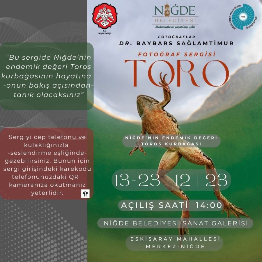 Niğde’nin Endemik Değeri Toros Kurbağası İlk Kez Su Altında Görüntülendi