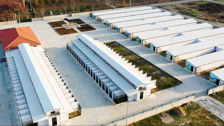 Başkan Akkaya: “sokak Hayvanları İçin Çözüm Odaklı Adımlar Atıyoruz”