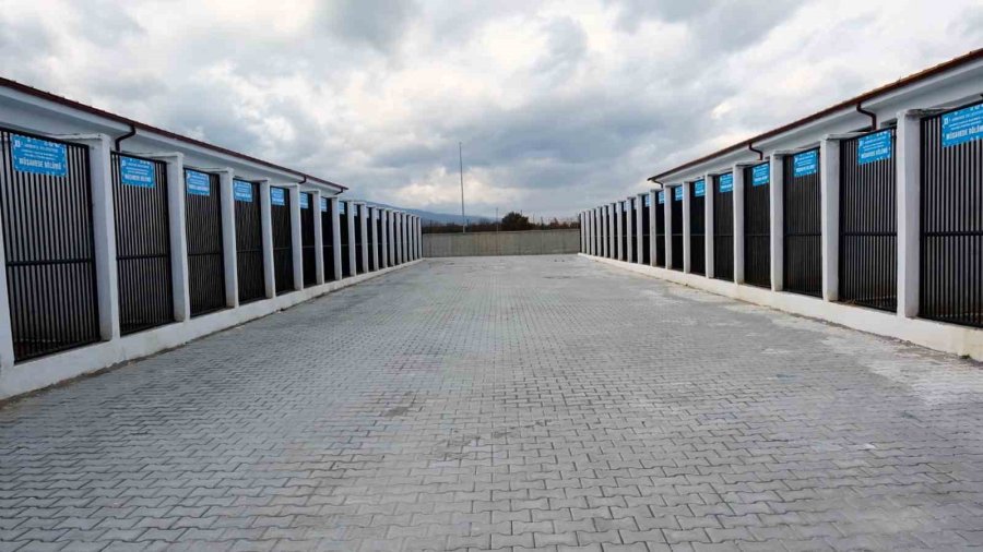 Başkan Akkaya: “sokak Hayvanları İçin Çözüm Odaklı Adımlar Atıyoruz”