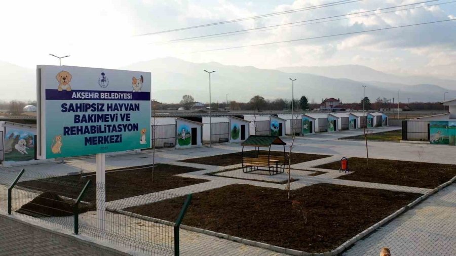 Başkan Akkaya: “sokak Hayvanları İçin Çözüm Odaklı Adımlar Atıyoruz”