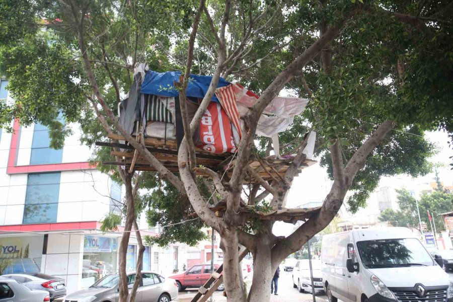 Bu Evi Gören Dönüp Bir Daha Bakıyor