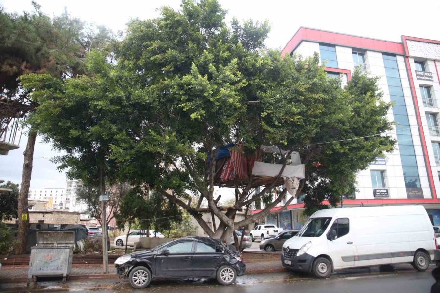 Bu Evi Gören Dönüp Bir Daha Bakıyor
