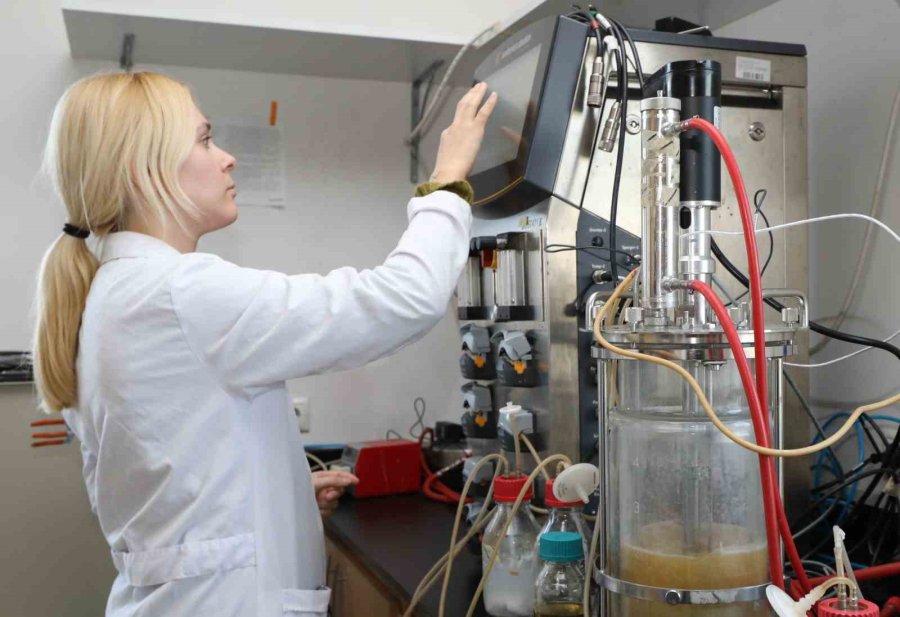 Vücuttaki Sitokin Fırtınasını Durduracak Yerli Ve Milli İlaçta Hayvan Deneylerine Geçildi