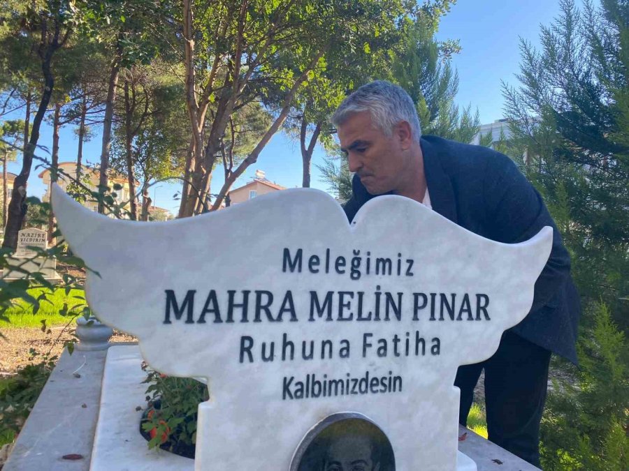 Türkiye’de Sokak Hayvanlarıyla İlgili Acı Tablo: 21 Ayda 40’ı Çocuk 92 Kişi Hayatını Kaybetti