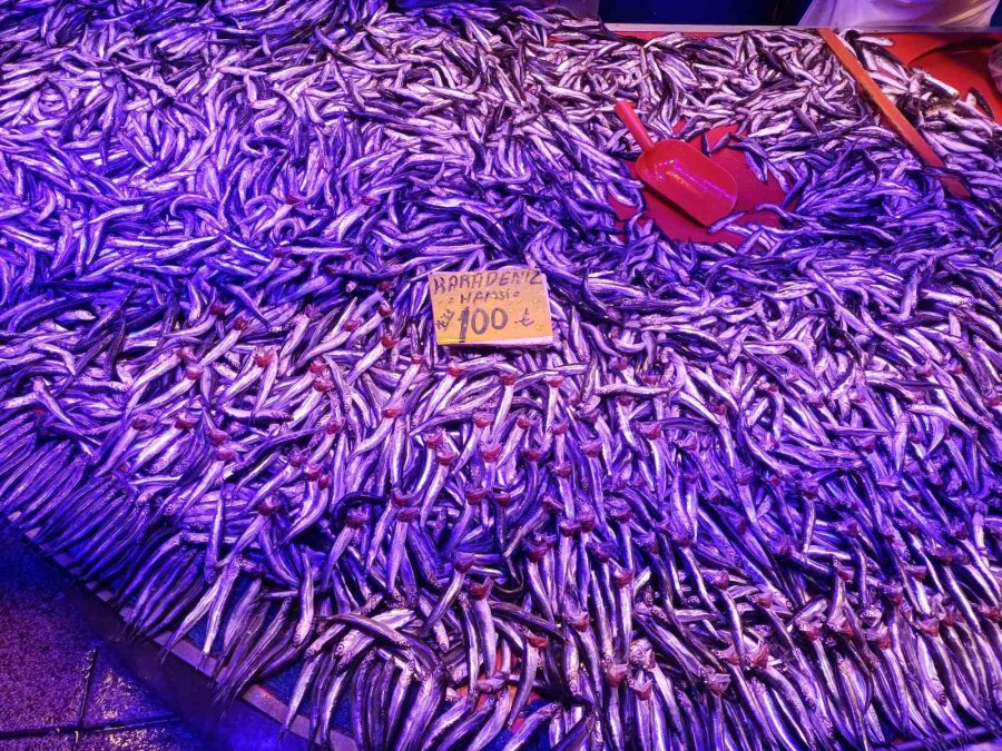 Hamsi Tezgâhında Yoğunluk