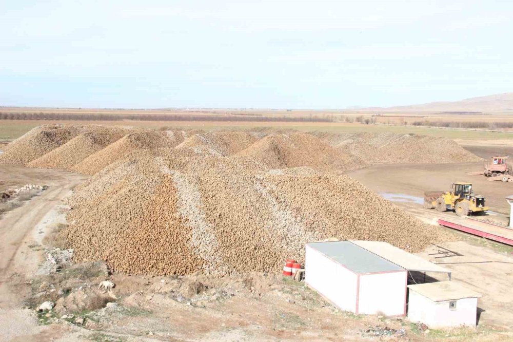Karaman’da Pancar Üretiminde Rekor