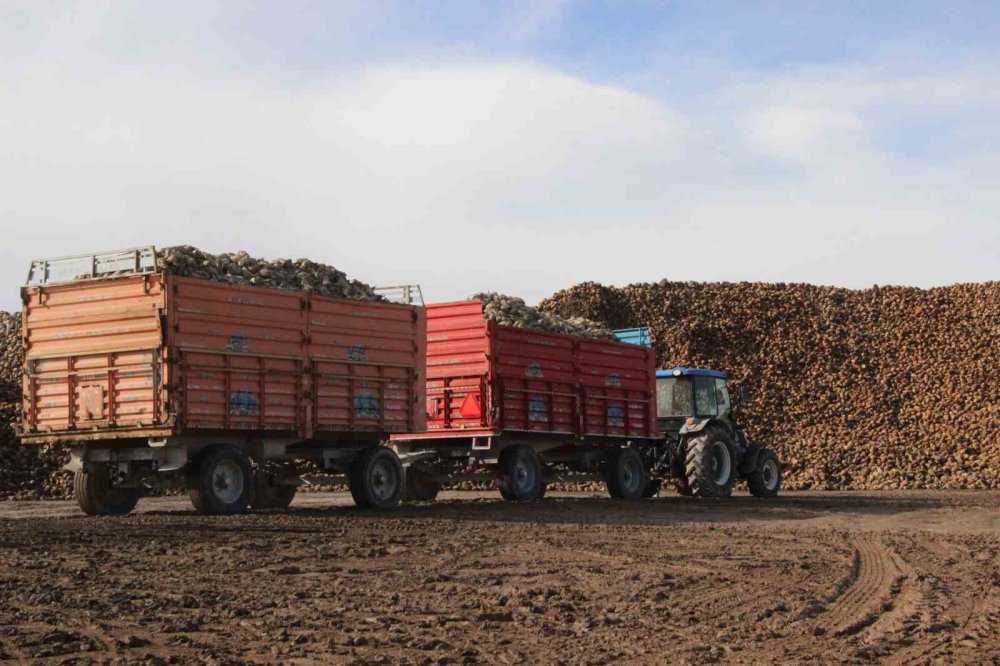 Karaman’da Pancar Üretiminde Rekor